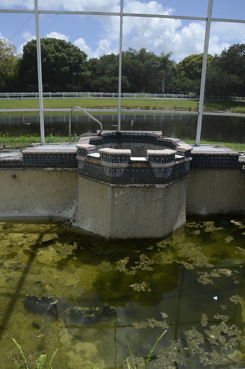 BEFORE: The pool was filled with a few feet of scum from collected water.