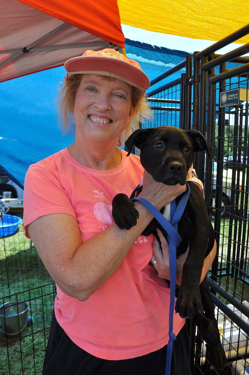 Joni Corcoran shows off a lab mix available for adoption.