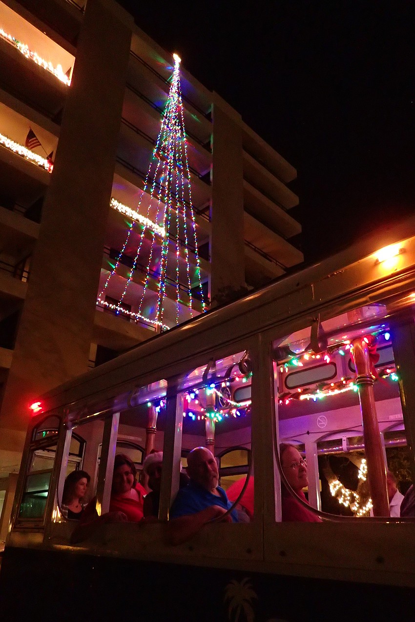 Anchorage and its massive tree...