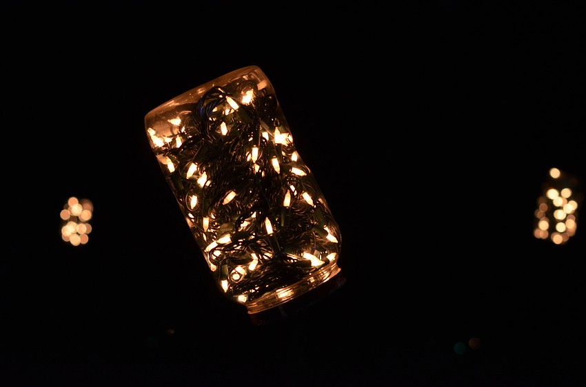 More than 500,000 lights lit up Selby Gardens on Thursday, Dec. 17, at the 