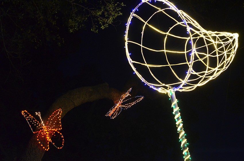 More than 500,000 lights lit up Selby Gardens on Thursday, Dec. 17, at the 