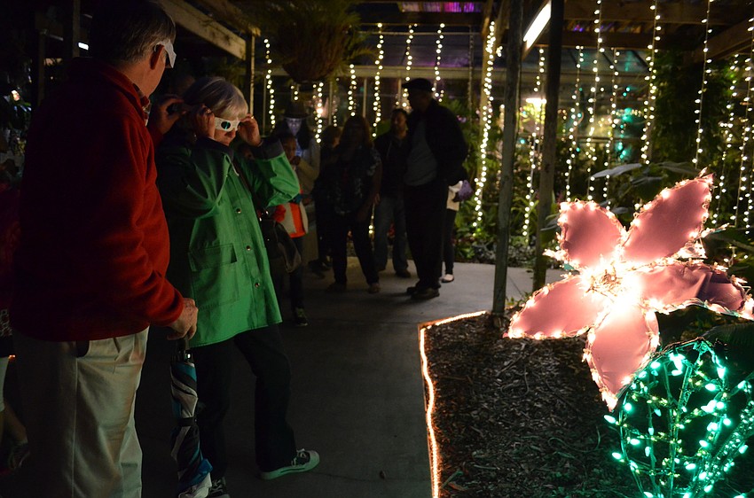 Bruce and Darlene Antle try a pair of snowflake viewing glasses.