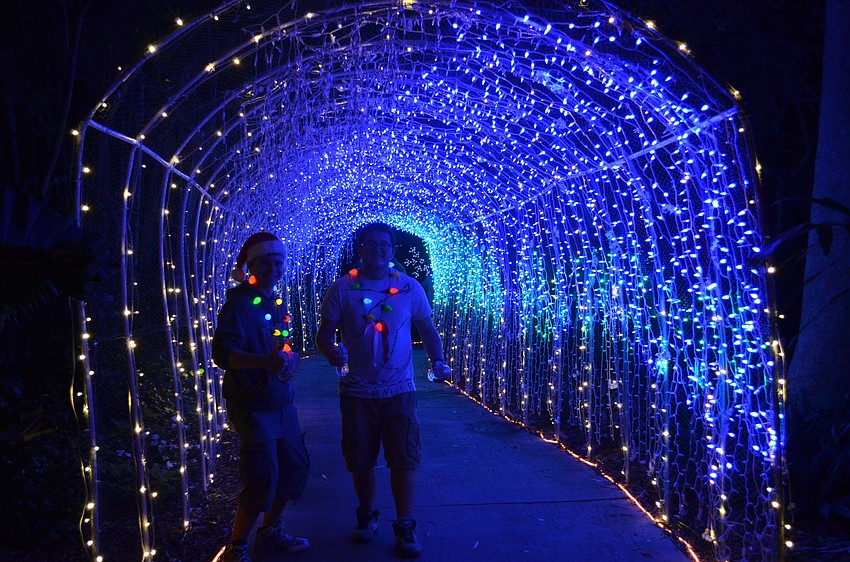 Volunteers Patrick Collins and Michael Darling in the glow of the light tunnel at Lights In Bloom.
