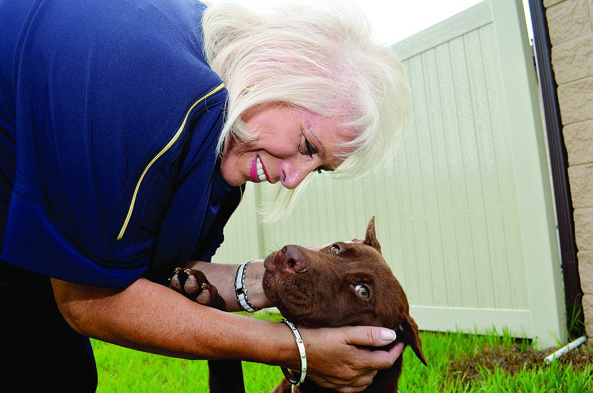 Marsha Panuce made her Donte’s Den animal shelter become a reality in Bradenton.