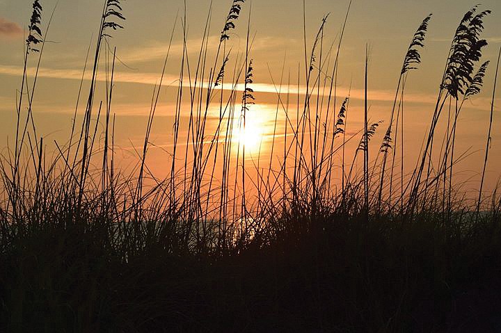 Mary Tygh Parks submitted this photo she titles â€œSun and Earth,â€ taken on Siesta Key.