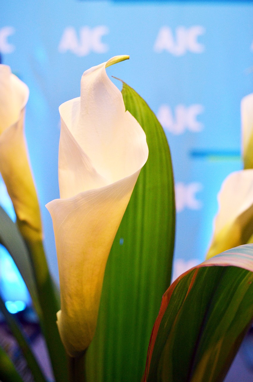 AJC hosted its 2015 Spring Awards Dinner honoring Alfred and Jean Weidner Goldstein on Sunday, March 22, at Michael’s On East.