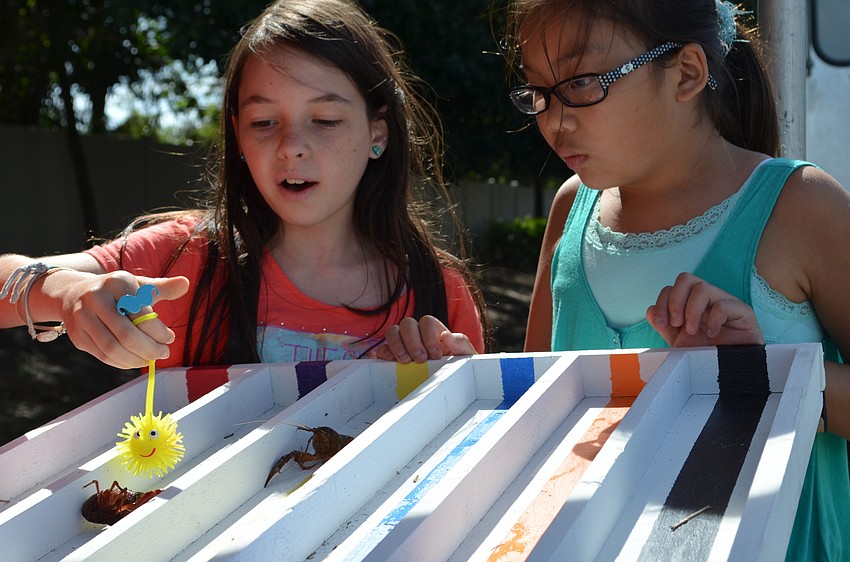 Christine Fisher and Grace Pomije race crawfish down a course.
