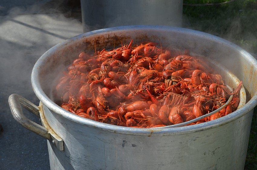 Freshly boiled crawfish were provided and prepared by the Crawfish Company of Central Florida.