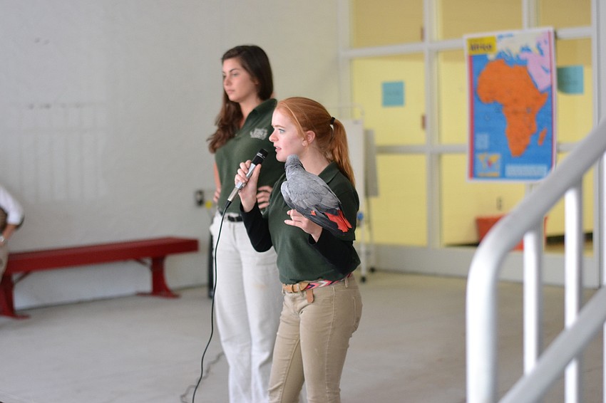 Kassandra Moore from Sarasota Jungle Gardens gives an animal demonstration with an African grey parrot.