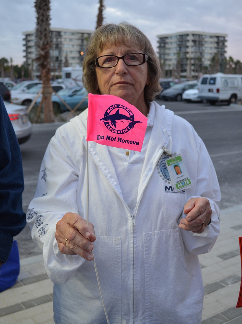 Volunteer Lillian Riley holds up a flag that is used to mark sea turtle nests.