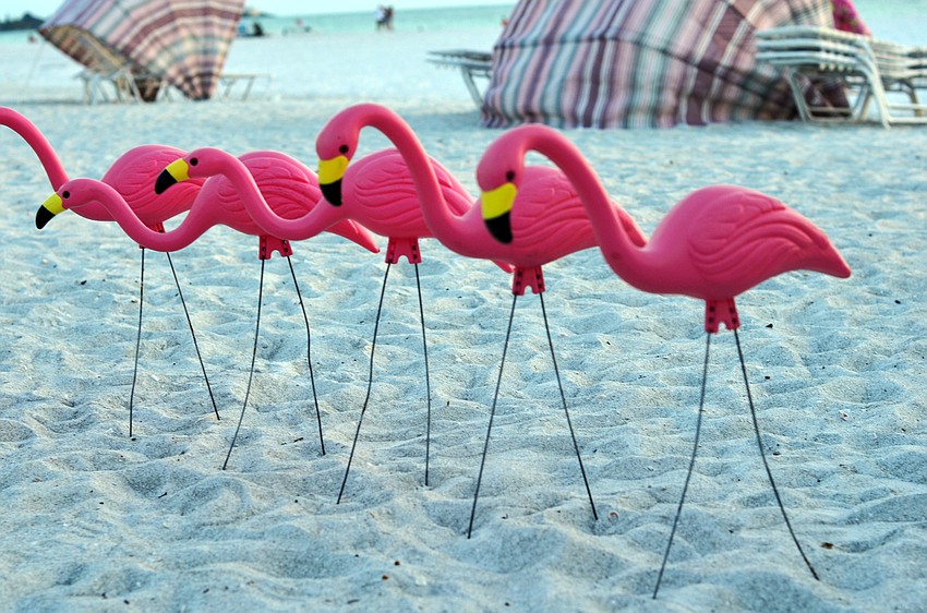 Take Stock in Children hosted Sailors & Sandals at the Sandcastle Resort on Lido Key on Saturday, April 11.