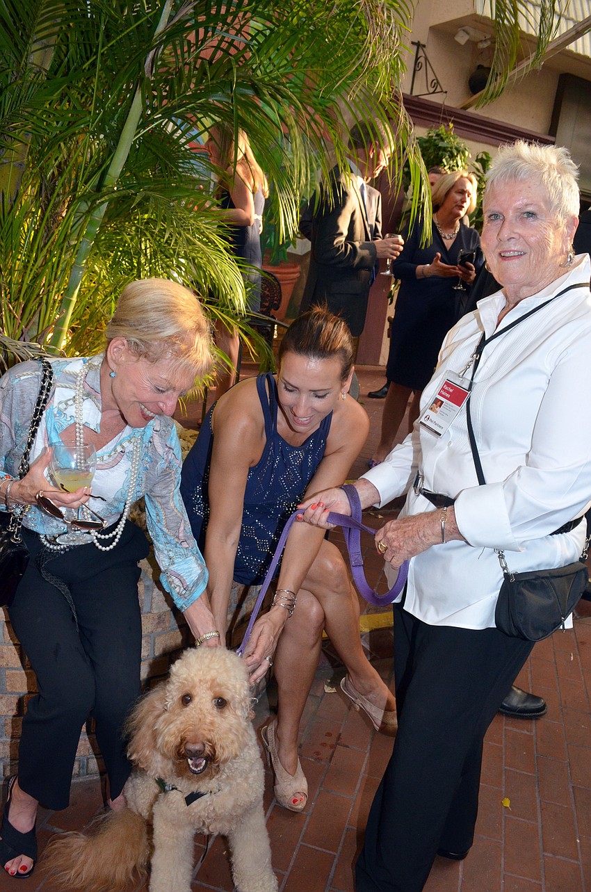 Micki Sellman, Susan Maggio and Rachel Haines with Oliver, an Australian Labradoodle from Pet Partner