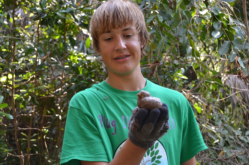 Jack Kempton found an air potato that the volunteers agreed looks like a baby duck.