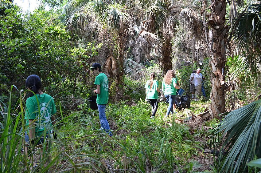 Volunteers spread out along the shrubbery at Phillippi Estate Park.