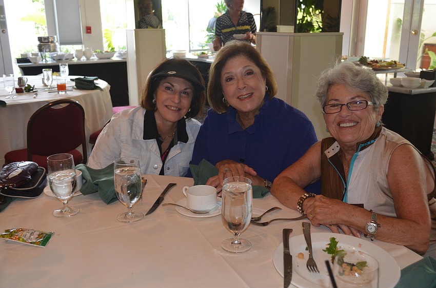 Kathy Bernstein, Marilyn Blankman and Debby Hamburg