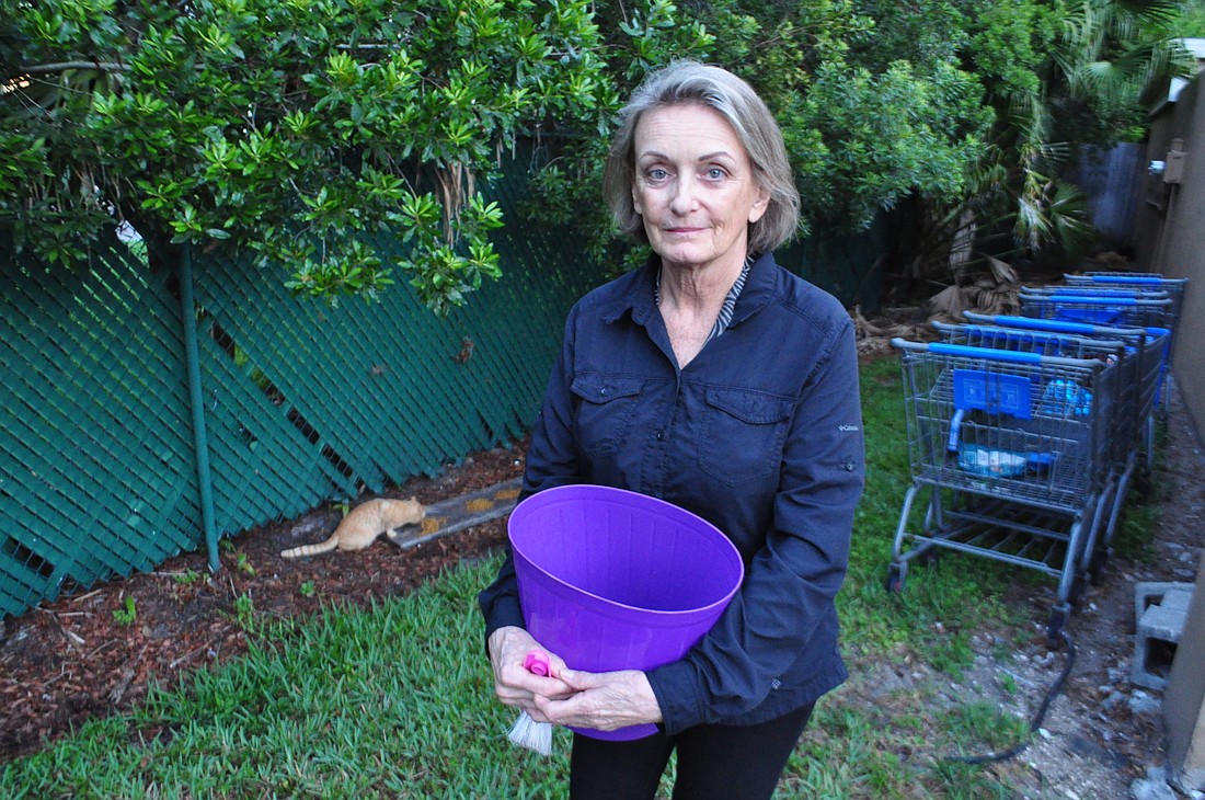 Lakewood Ranch resident Barb Miller has been involved in caring for feral cats since she was a child. â€œA friend of mine said there is no out from rescue,â€ she says. â€œItâ€™s like mafia. Death is (the out). Photo by Pam Eubanks