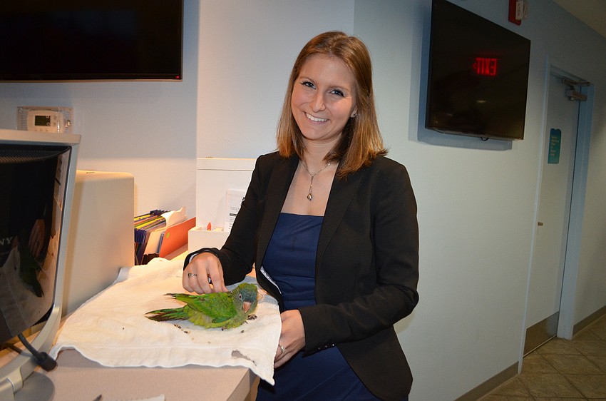 Miranda Tarnlini with Jack Daniels, a blue-crowned conure