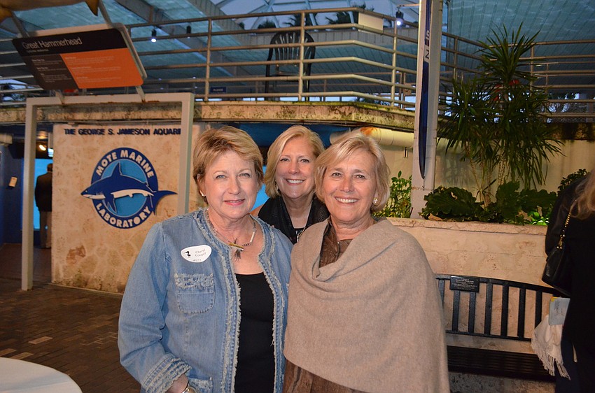 Cheryl Cooper, Cynthia Goodrich and Marcia Babyak