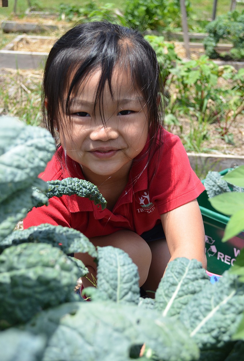 Chelsea La clips leafs of Kale.