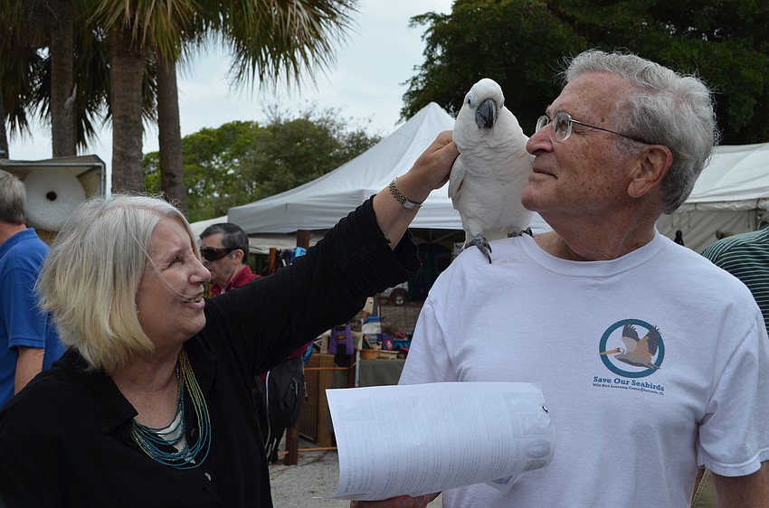 Kathy O’Brien pets Kelly from Save Our Seabirds.
