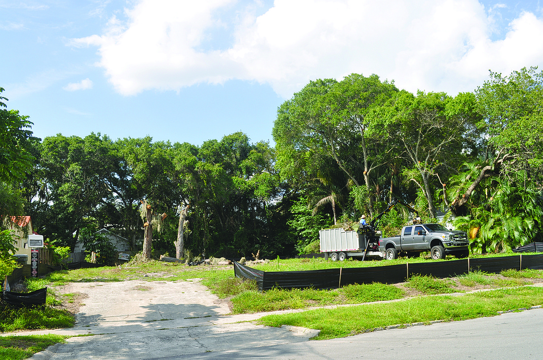 Little remains of two trees at this lot on Hawthorne Street, which Hudson Bayou Neighborhood Association President Rob Patten says exemplifies an ongoing issue in the area. Photo by David Conway