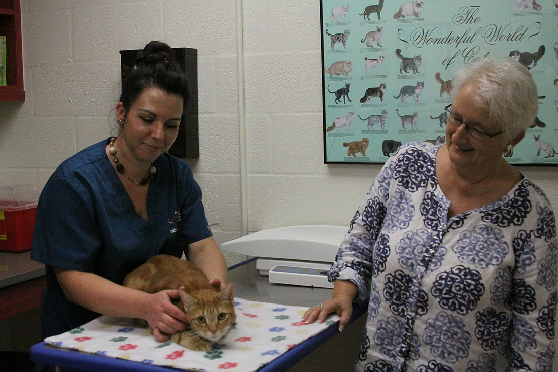 Courtesy photo. Veterinarian technician Kelly Vassarro with Pandora Kiss and her cat.