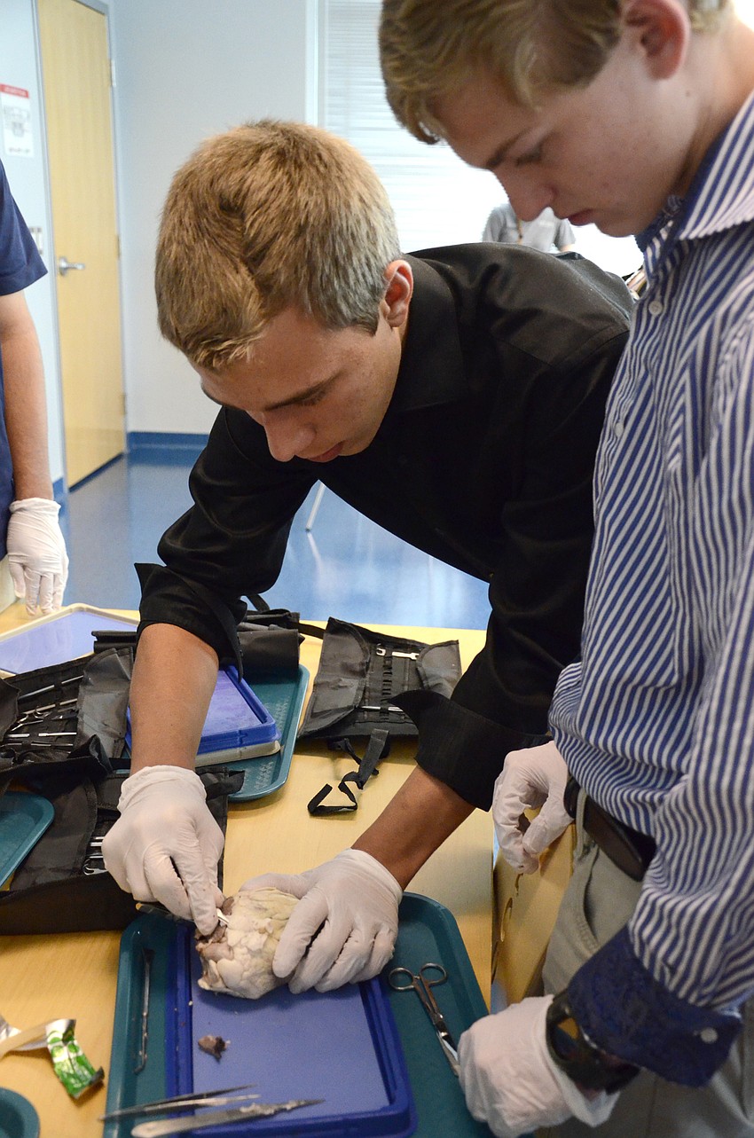 Caleb Streitmatter, Riverview High School junior, and Hunter Hampton, Pine View School senior, dig into a sheep's heart.