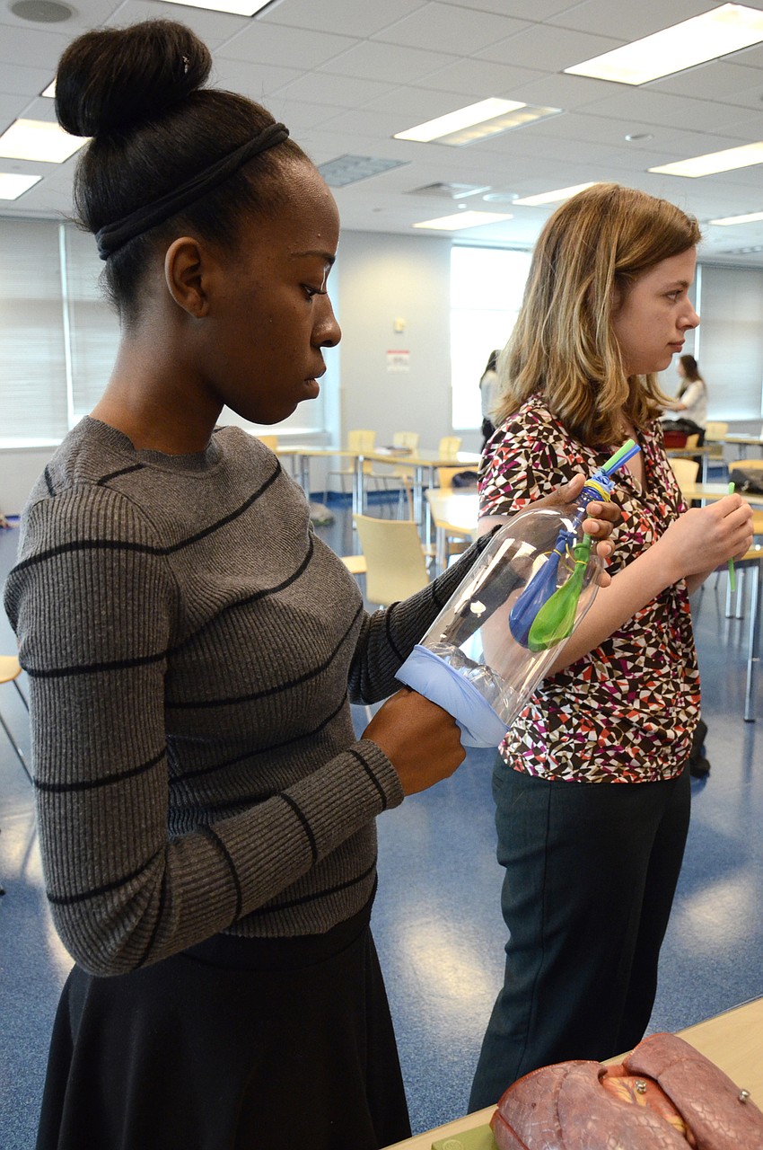Daziah Scurry, a junior at Manatee School for the Arts, examines a simplified lung model.