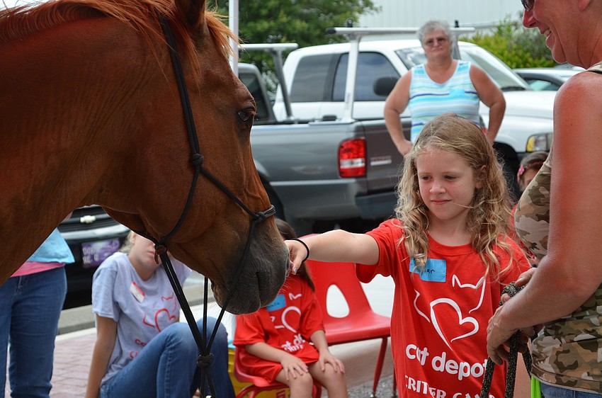 Skylar Stone reaches out to pet Duke from Sixteen Hands Horse Sanctuary.