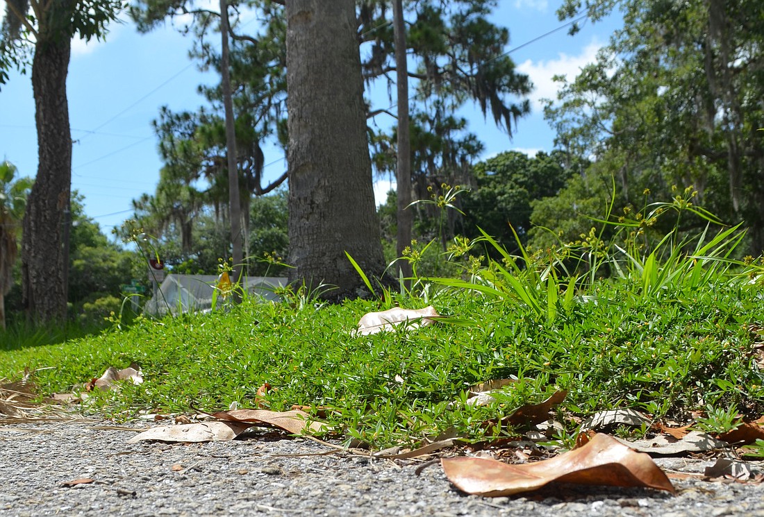 City staff may be charged with maintaining medians and other grassy spaces for several weeks.