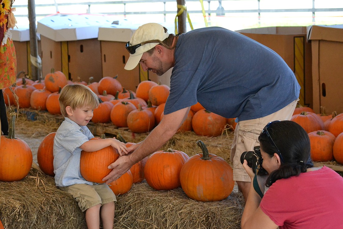 Josh and Kristina Hagen take photos of their son Alexander among the pumpkins at Fruitville Grove.