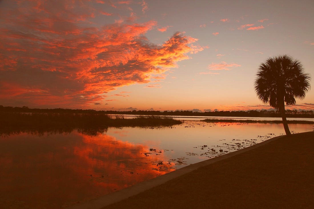 Robert Bolcik submitted this sunset photo, taken at Jiggs Landing in Bradenton.