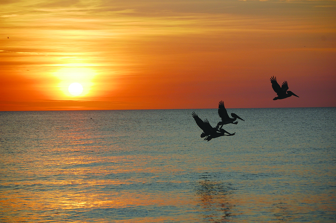 Thomas Norton submitted this photo from Point of Rocks on Siesta Key.
