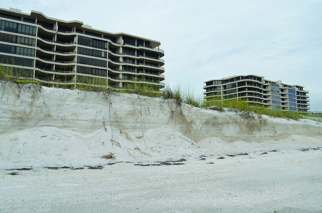 So much sand has been lost that at high tide behind L'Ambiance that Gulf water laps at 7-foot beach escarpments that are being kept in place by large areas of vegetated dunes.