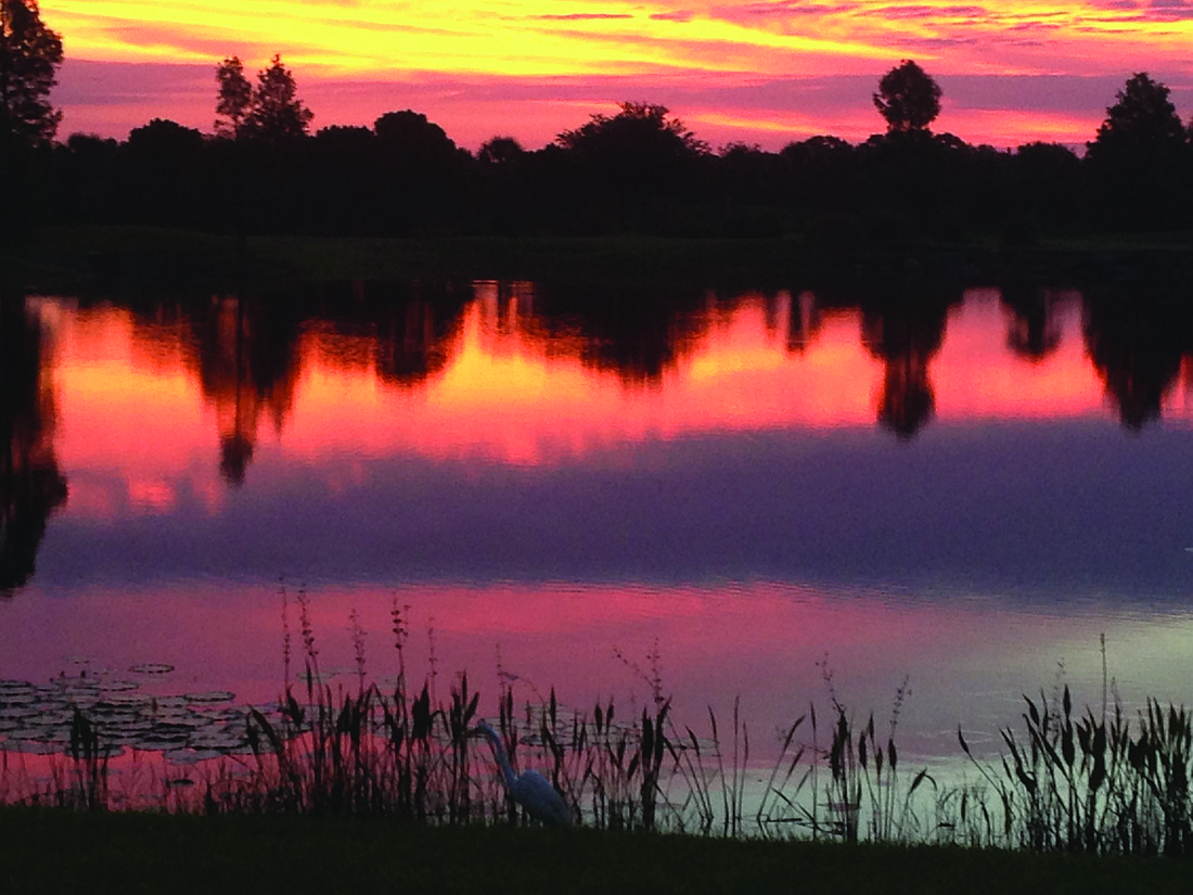 Dianna Staab submitted this sunrise photo, taken from her lanai in Lakewood Ranch.