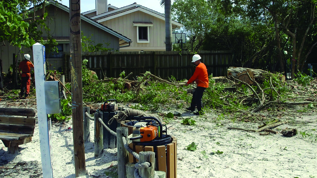 Sarasota County contractors remove sea flora near the end of North Shell Road to make room for one of 17 parking spaces. Residents have called the plans a "compromise." Photo by Alex Mahadevan
