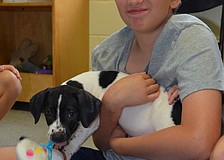 Connor Maag plays with the puppy.