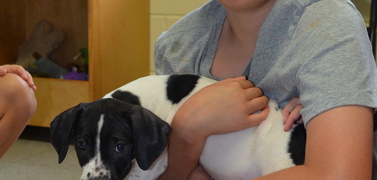 Connor Maag plays with the puppy.