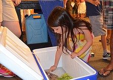 Madison Anderson touches the shovelnose lobster.