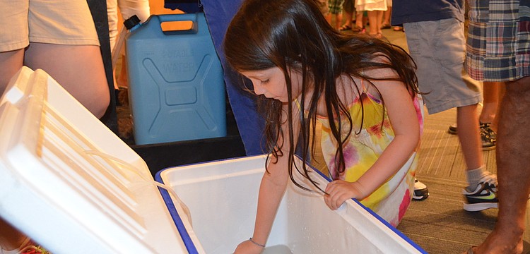 Madison Anderson touches the shovelnose lobster.