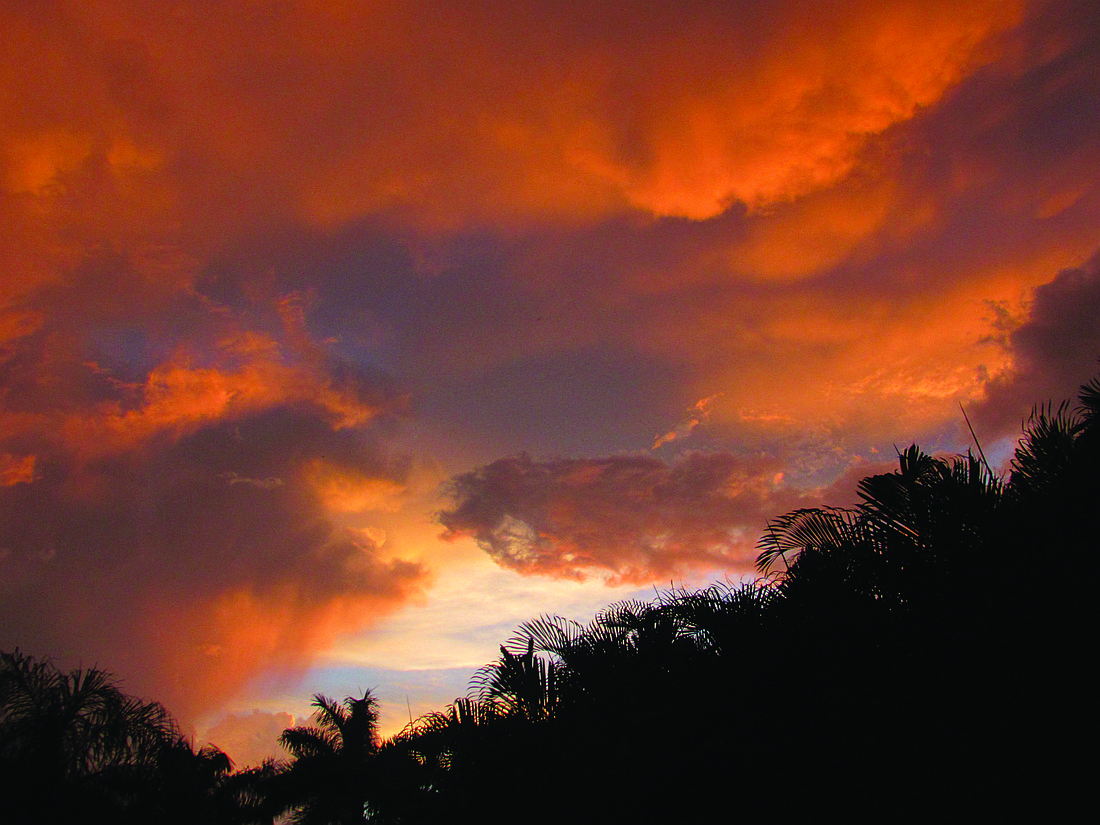 Vincent Veneruso submitted this sunset photo, taken before a storm in Lakewood Ranch.