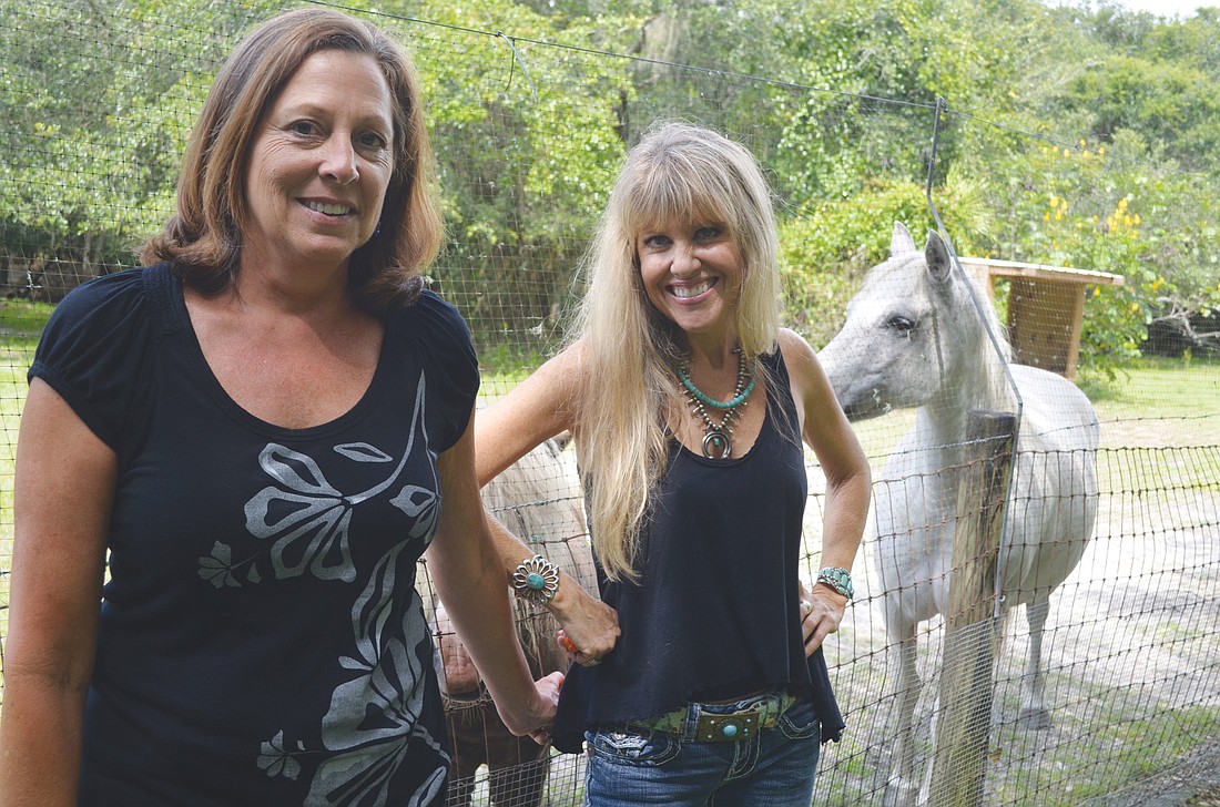Susie Chinn, right, has been involved with Sarasota in Defense of Animals for the last seven years. She and volunteer Pam Driggs, left, enjoy spending time at the organization's 10-acre shelter, where they care for more than 300 rescued animals.