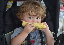 Weston Elken enjoys corn on the cob.
