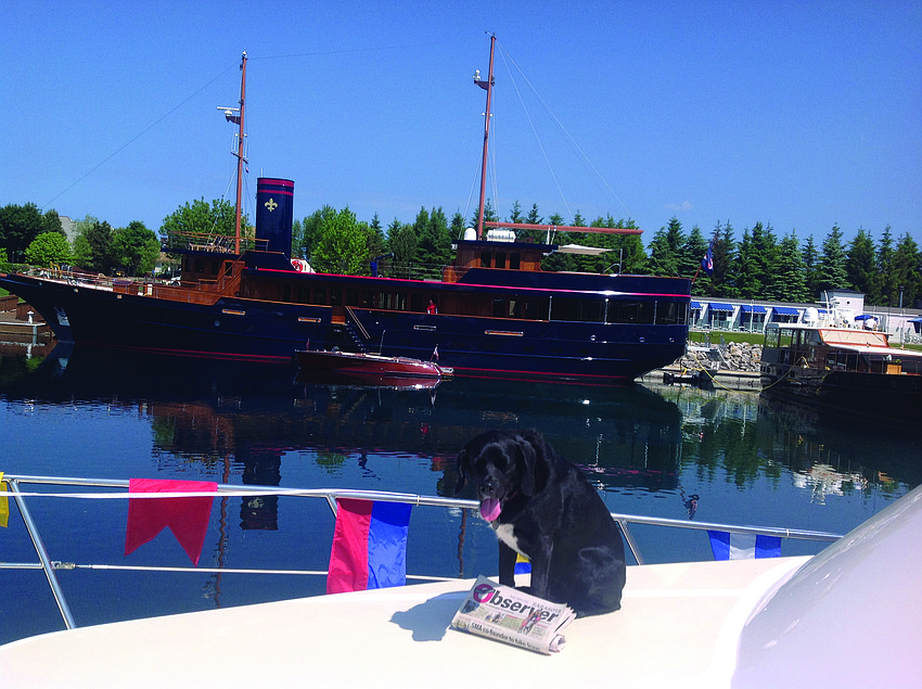 DOG DAYS OF SUMMER. Jack the dog catches up on his Sarasota Observer news while relaxing on Tom Dabney and Elaine Briggs' boat, 