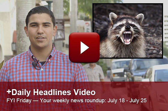 This week's FYI Friday features changes proposed to Sarasota 2050 and a pack of violent raccoons.