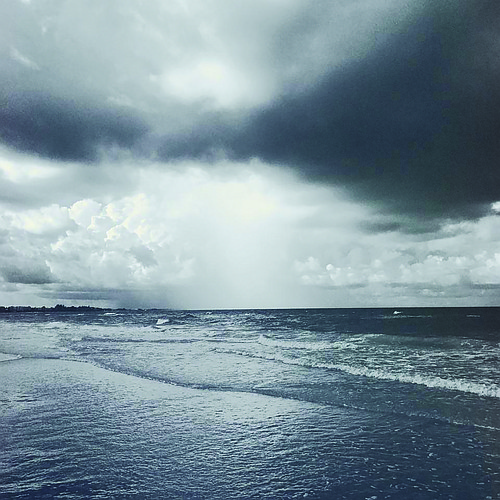 Alison Maddex submitted this photo, taken during a morning rain shower on Siesta Key.
