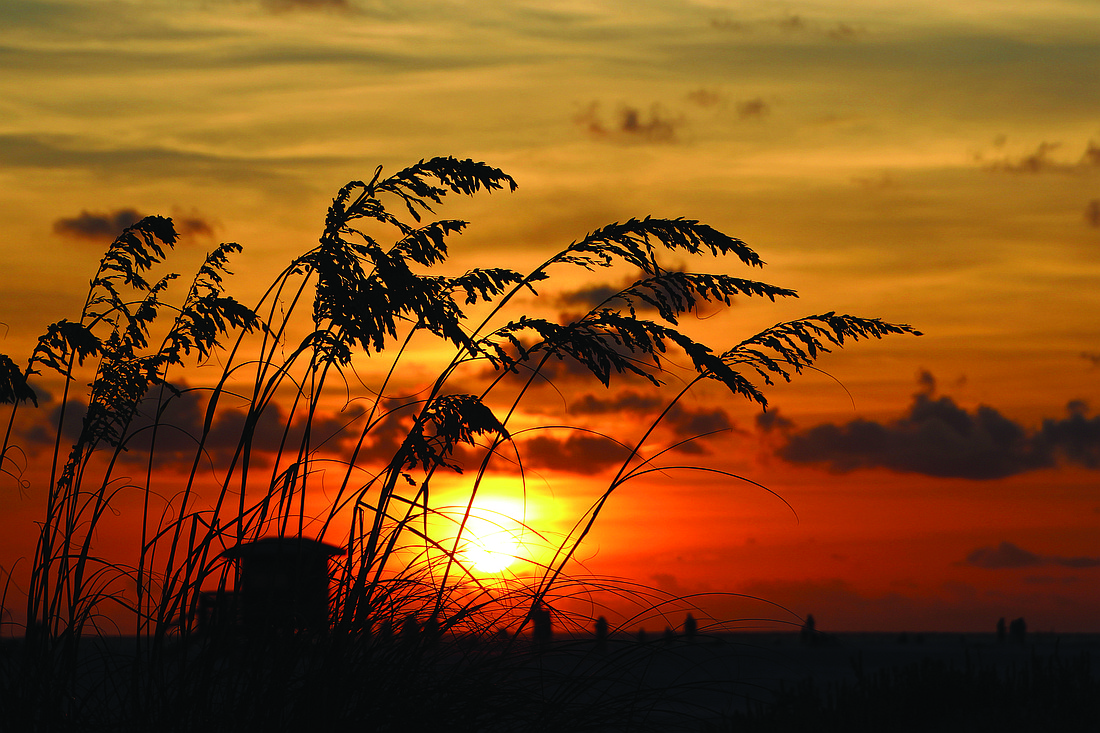 Carol LoRicco submitted this sunset photo, taken on Lido Key.