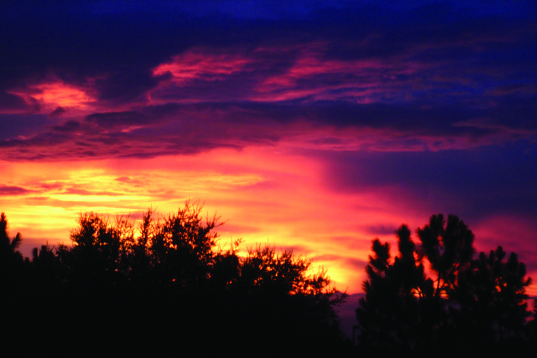 Carolyn Eliason submitted this sunset photo, taken from her lanai in Lakewood Ranch.