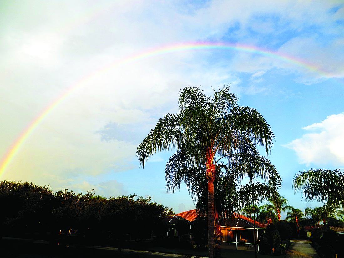 Richard Chen submitted this photo of a rainbow, taken in Palmer Ranch.