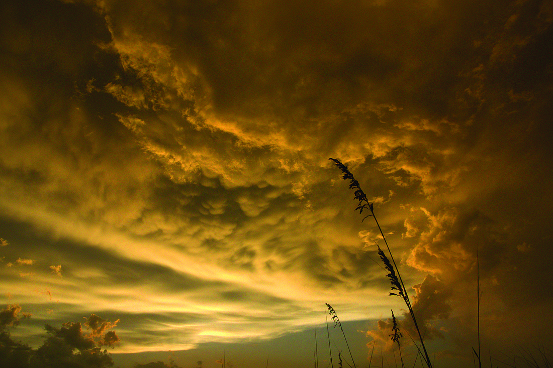 Iliana Moore submitted this photo of storm clouds rolling over Sarasota at sunset.
